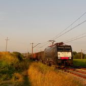 E189-806