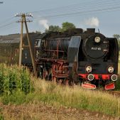 Pt47-65