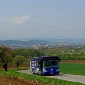 Irisbus Citelis 12M #361