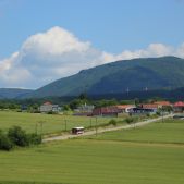 Solaris Urbino 12 #392