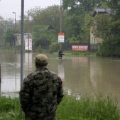 Bezradne oczekiwanie...