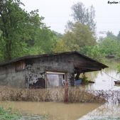 Altana przy Nowohuckiej