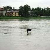 Zalane bulwary