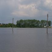 Zalana droga