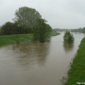 Rzeka Rudawa 2010-05-18