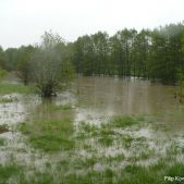 Rzeka Rudawa 2010-05-18