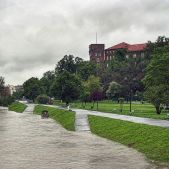 Wawel