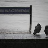 Nad Bulwarem Czerwieńskim
