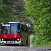 Ikarus 280.26 #DK260