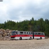 Ikarus 280.26 #DK260