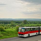 Ikarus 280.26 #DK260