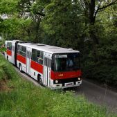 Ikarus 280.26 #DK260
