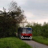 Ikarus 280.26 #DK260