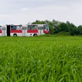 Ikarus 280.26 #DK260