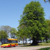 Solaris Urbino 10