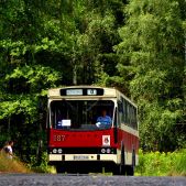 Jelcz M11 #087
