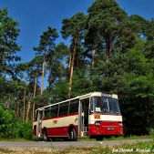 Autosan H9-35 #183