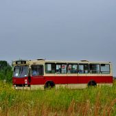 Jelcz M11 #087