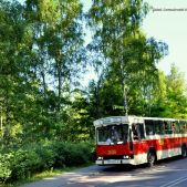 Jelcz M11 #2608