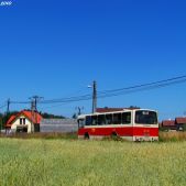 Jelcz M11 #2608