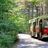 Jelcz M11 #2608