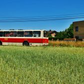 Jelcz M11 #2608
