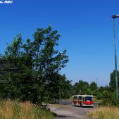Jelcz M11 #2608