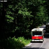 Jelcz M11 #2608