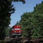 SP32-206
