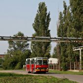 Ikarus 260.04 #289