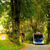 Mercedes O530G #DC513