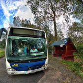 Mercedes O530G #DC513