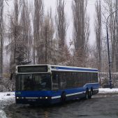 Neoplan N4020 #BN126