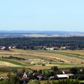 EN77-003