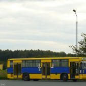 Jelcz 120M #707