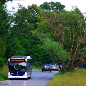Mercedes O530 #DO217