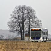 Mercedes O530 #DO218