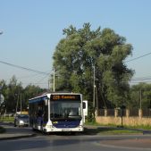 Mercedes O530 #DO216