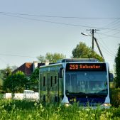 Mercedes O530 #DO216