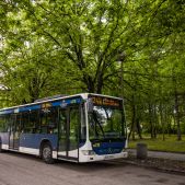 Mercedes O530 #DO218