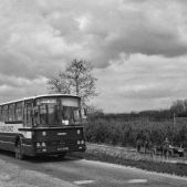 Sanos S415 #60541