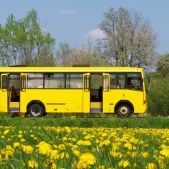 Jelcz L090M #51