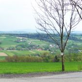 Solaris Urbino 12 #BU856