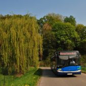 Solaris Urbino 12 #BU856