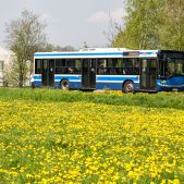 Solaris Urbino 12 #BU856