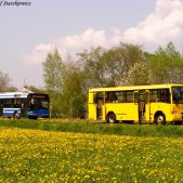 Solaris Urbino 12 #BU856