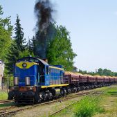 TEM2-041