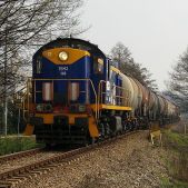 TEM2-148