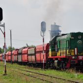 TEM2-255