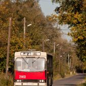 Jelcz PR110M #119